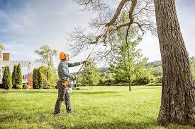 Best Tree Trimming and Pruning  in Oak Point, TX